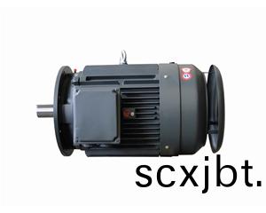 Y係列(lie)戶外(wai)電(dian)機(ji)