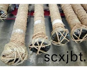 代髮貨(huo)的攪(jiao)拌軸(zhou)-襯(chen)膠(jiao)
